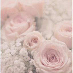 🌸