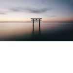 Seishin-Souls Official Group