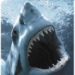 Roblox Fishing Corp.