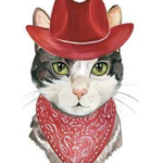 Bandit Cats