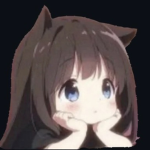 N R S