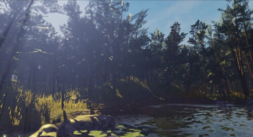 Wooded Creek