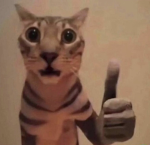 THUMBCAT