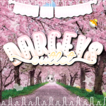 - darceys outlet -