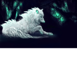 cute cats ever!!