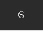G.S Services