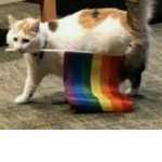 -I|Meow|I-