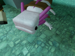 AXOLOTL WAHOOO