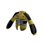 ✅ Gold REB3L Racer jacket