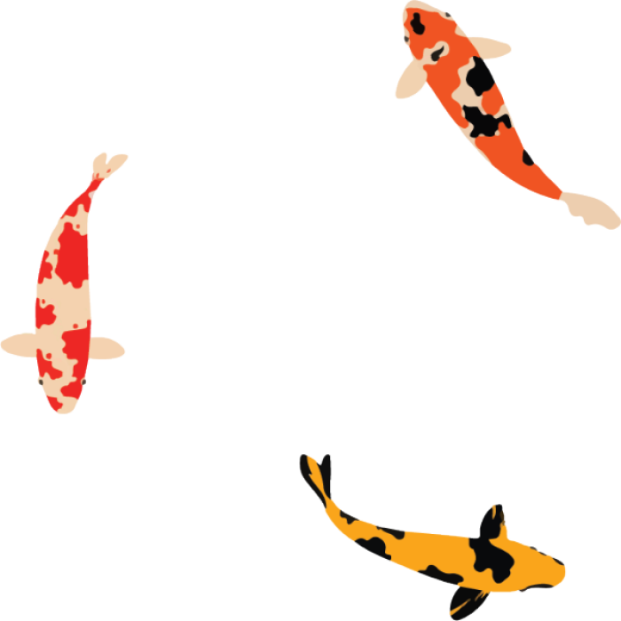 koi fish 1 Roblox decal