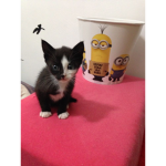 Omg?!?