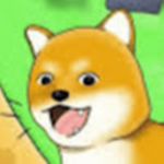Doge Youtuber