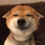 送r幣群