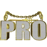Pro Sword Fighter Chain - Golden