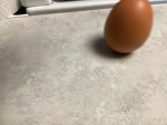 The secret egg company