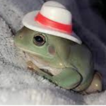 Forever a .FROG.