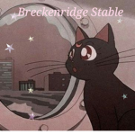 ‘ ›› ’ Breckenridge Stable ‘ ‹‹ ’