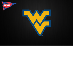 West Virginia Mountaineers: Milan Puskar Stadium