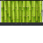 Da bamboo group