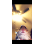 Hamster gang....