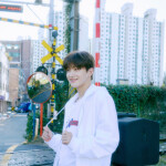 ⌗🪼.ᐟ —  ✧