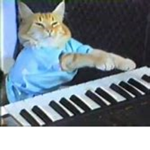 ~~~kat studios~~~