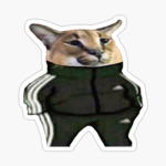 Felixs robux group