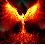 Pheonix fans!