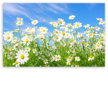 Thrown around backrounds