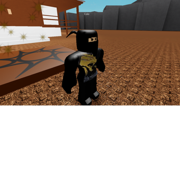 Black Ninja Earth Powers