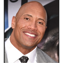 the rock