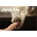 Cats And Kittens Only Group
