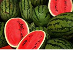 WATERMELON $QUADZ