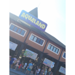 doy robux a mis amigos, i give robux to my friends