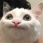 LeDevelopment Group Thumbnail