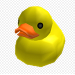 Duck obby