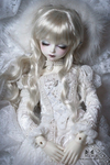dollieribbons