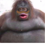 Franklin is your dad