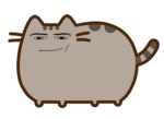 ~Shih-tsu