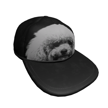 cute dog cap