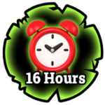 16 Hours
