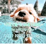 -Millie’s shop-