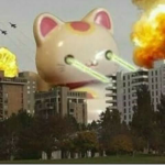 知りません