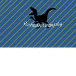 Rockchester University