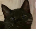 Lіght