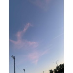 Aesthetic101