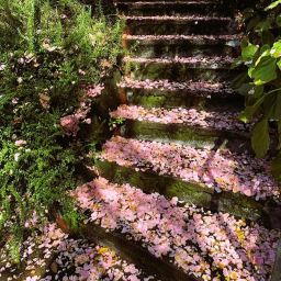 ❀