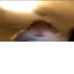 Hamstah Gang