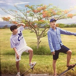 taehyung & j-hope icon