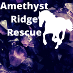 Amethyst Ridge Rescue